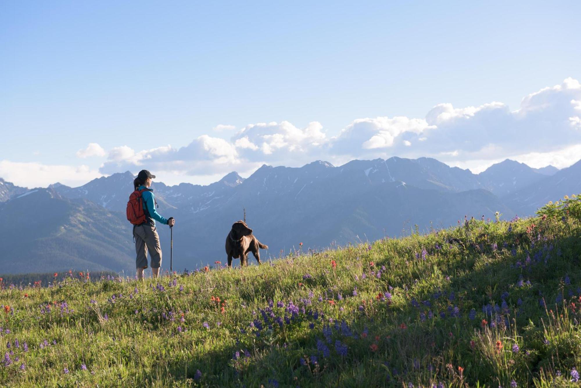 Lift House Lodge, Vail Lionshead Studio Condo, Walk To Gondola Εξωτερικό φωτογραφία