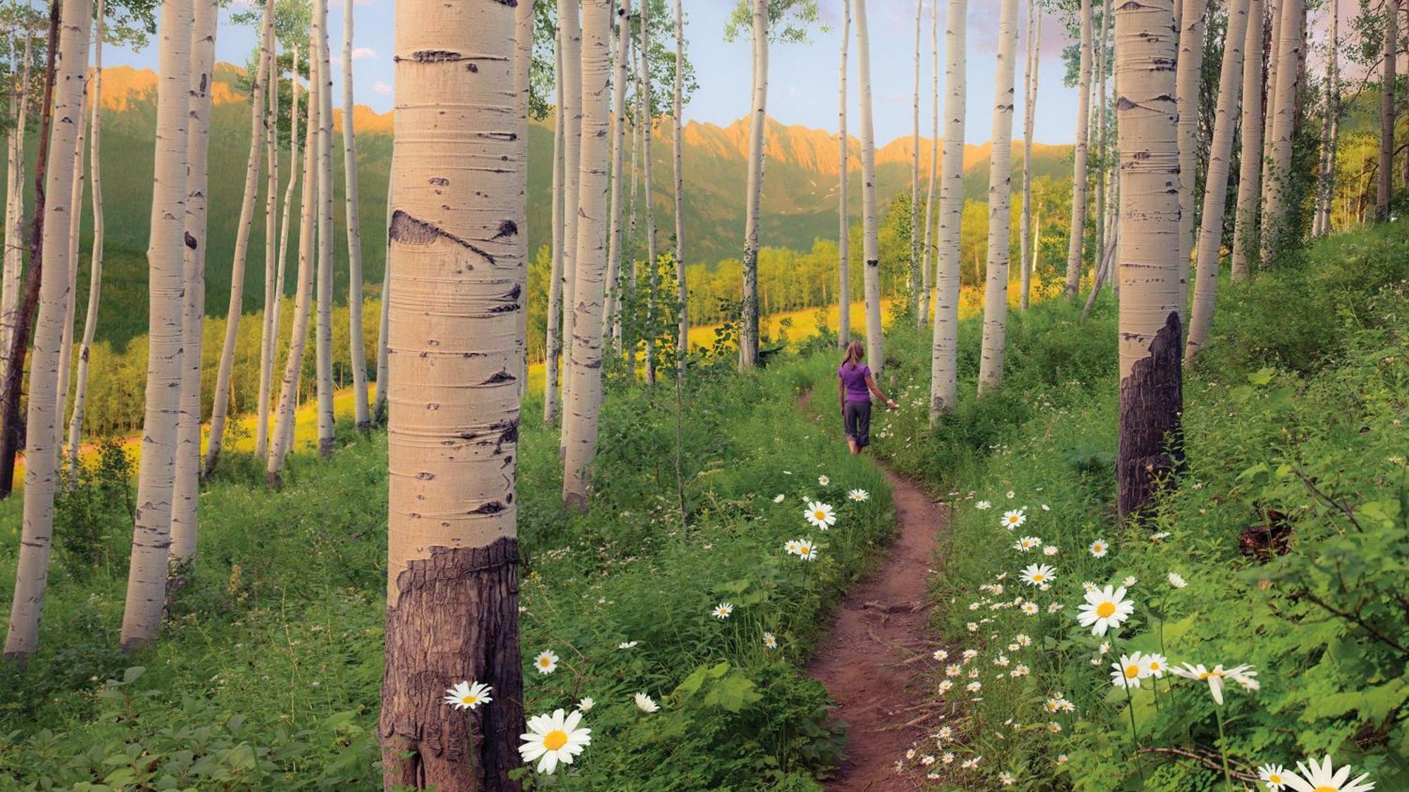 Lift House Lodge, Vail Lionshead Studio Condo, Walk To Gondola Εξωτερικό φωτογραφία